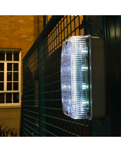 Bulkhead Light