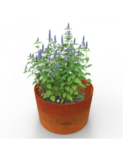 Bottomless planters made from British steel and left to weather, developing a natural patina. Order garden & landscaping planters online for delivery to site.