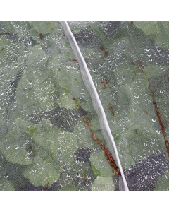 Insect Mesh Netting