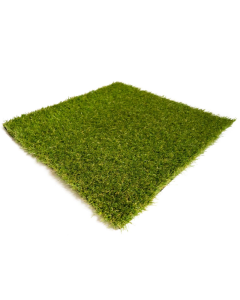 Artificial Grass - School