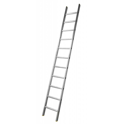 Professional Aluminium Extension Ladder
