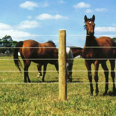 Horse Wire Fencing Horse Wire Fencing